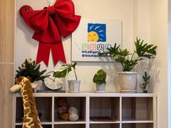 -婴智贝佳蒙特梭利早教托育中心(杨浦店)