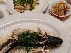 -稻香酒家·35年老字号(侨光店)