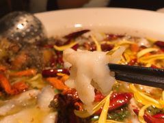 老坛子酸菜鱼-太二酸菜鱼(正大广场店)