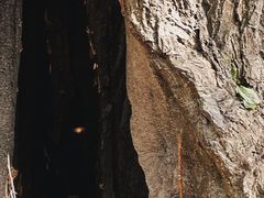 -绮园景区