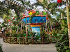 -南宫五洲植物乐园