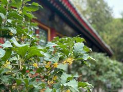 -颐和园