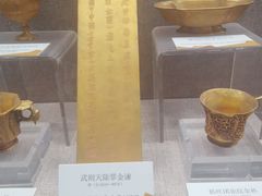 -烟台自然博物馆