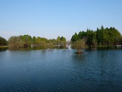 -贡湖湾湿地公园