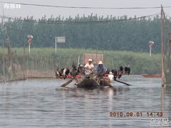 -白洋淀景区