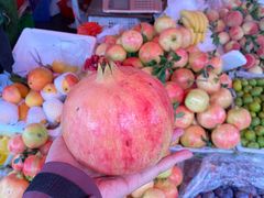 -钰洁腊排骨火锅