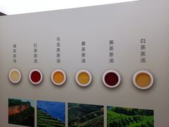 -中国茶叶博物馆(双峰馆区)