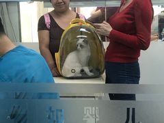 -宠颐生中康贝怡动物医院