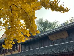 -龙华寺