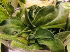 非洲冰草-一叶一世界•素食餐厅(新光天地店)