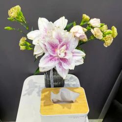 -魔丽卡·中国式美甲美睫