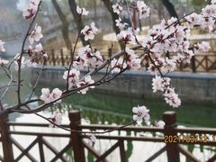 -迎泽公园