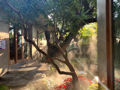 -Chom Cafe and Restaurant