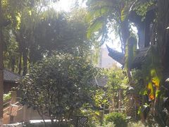 -大妙火锅·非物质文化遗产(东湖公园店)