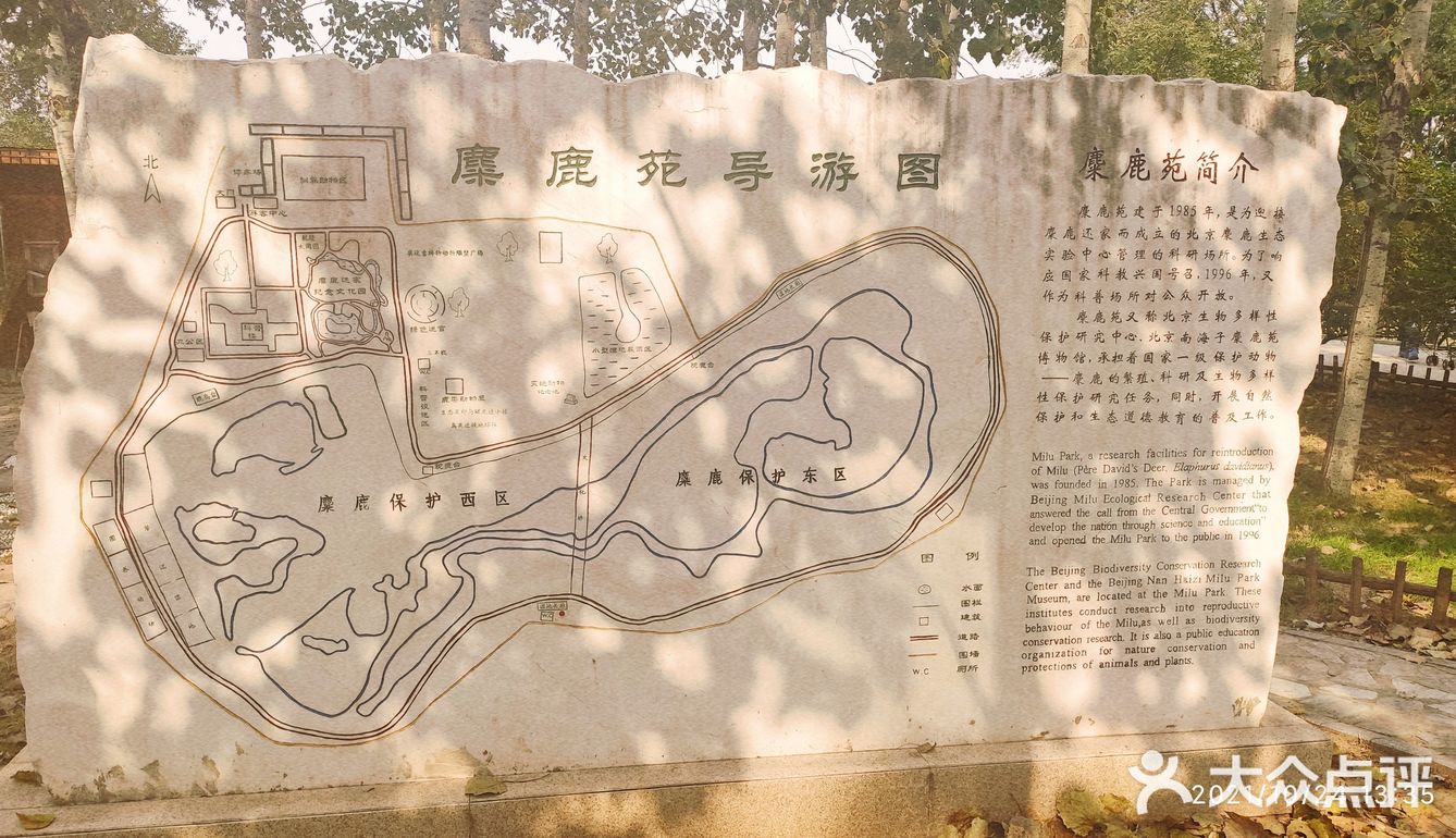 免费公园 近距离接触小动物