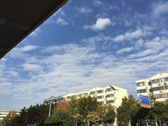 -薛新颖红豆饼(中式甜点山师店)