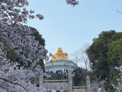 -苏州上方山国家森林公园
