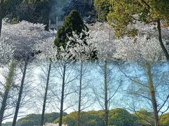 -苏州上方山国家森林公园