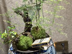 -31号公馆(黄兴广场白果园店)