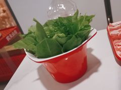 -庭院·冰煮羊·铜锅涮肉(西单店)