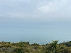 -西涌国际滨海旅游区