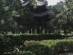 -赵州桥景区