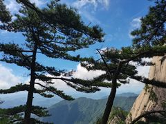 -黄山风景区