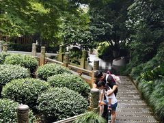 -十八棵（老龙井）御茶园(老龙井店)