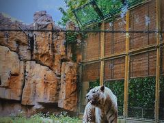 -上海野生动物园