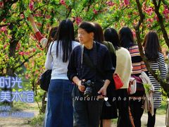 -南国桃园旅游度假区