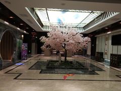 -添赐温泉馆(上南路店)