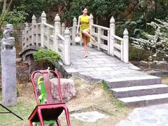 -深圳国际园林花卉博览园