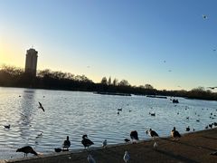 -海德公园