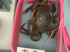 -龙海鲜螃蟹王(宏茂桥店)