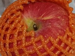 -天虹购物中心(深圳龙华店)