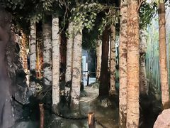 -大连自然博物馆