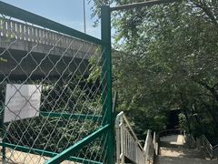 -白水寺森林公园