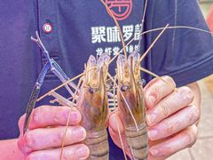 -聚味罗记大排檔·烧烤·鲜鱼杂·甲鱼煲(科学馆店)