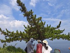 -养马岛旅游度假区