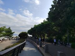 -深圳湾公园(南山区)