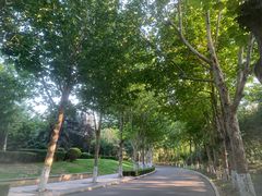 -春晖园度假酒店温泉