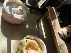-Joymean coffee.见面咖啡