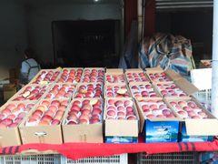 -城南综合水果批发市场(花园路店)