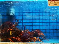 -协成海鲜火锅(情侣路店)