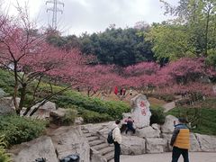 -重庆彩云湖湿地公园