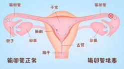 -邢台妇产医院