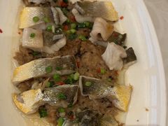 -锦粤宫·精致粤菜(深圳北站店)