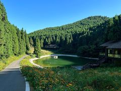 -武陵山森林公园