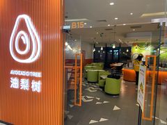 -油梨树 AVOCADO TREE(亮马桥店)