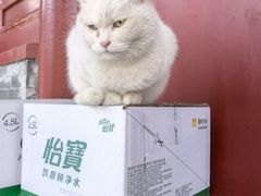 -萤火虫咖啡(砖著店)